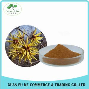 China Superior Quality Featured Product 5%-98%Chlorogenic Acid Honeysuckle Flower Extract on sale