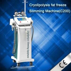 China Laser Liposuction Cryolipolysis Slimming Machine For Beauty Salon on sale