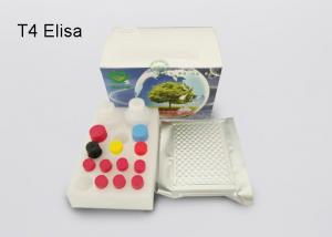 China Thyroxine T4 Elisa Diagnostic Kits Plasma Sample With 2 Standard Curve Ranges on sale