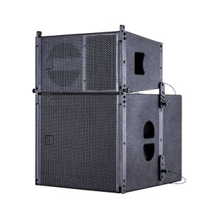 China Plywood Audio 10&quot; Full Range Speaker Box Line Array Cabinet factory