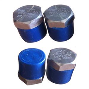 China Hex Head Plug, ASTM A182 GR F51, UNS S31803, MNPT Ends factory