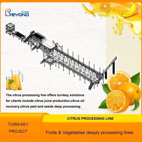 Automatic Industrial Orange Processing Line Citrus Juice Machine SUS316