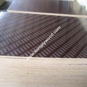 China Brown Film Faced Plywood Prices Poplar Core/Hardwood Core Brown Film Faced Glued Laminated Timber film face plywood factory
