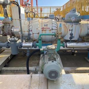 China Cast Iron Crude Oil Industrial Lobe Pump Multipurpose 430 Rpm factory