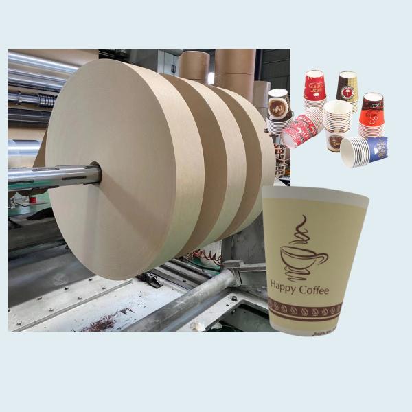 Waterproof Customized Size paper cup Bottom Rolls PLA Coated Paper factory productio for Coffee Tea Cup