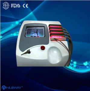China Factory price! Clinic 650nm Diode Lipo Laser Slimming Machine For Back Fat Burning factory