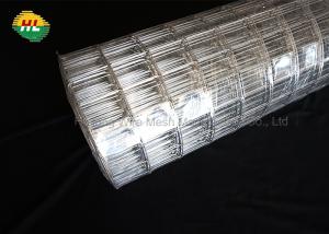 China cold Galvanized 16GA Welded Wire Mesh Rolls 2x3 inch for Home Garden Fence factory
