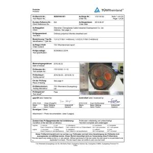 Shenzhen Chengtiantai Cable Industry Development Co.,Ltd Certifications