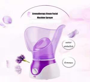 China home beauty instrument steaming machine face - sprayer heating spray steamer factory