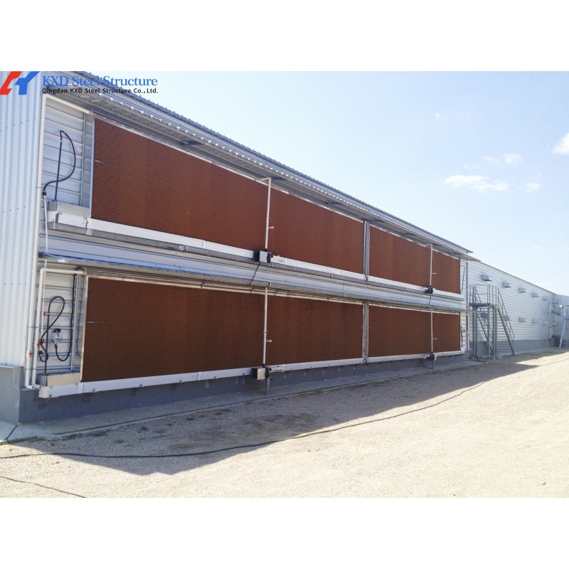 Steel Structure Poultry Shed for Broilers and Layers
