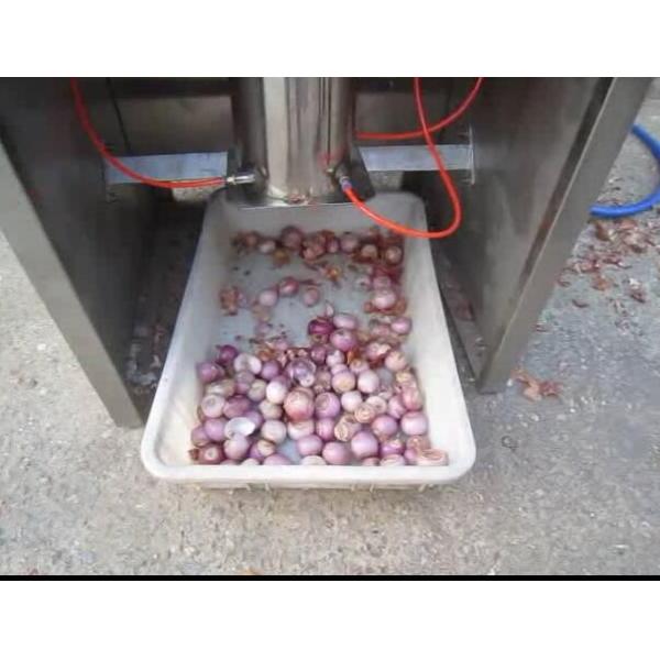 small onion skin removing machine