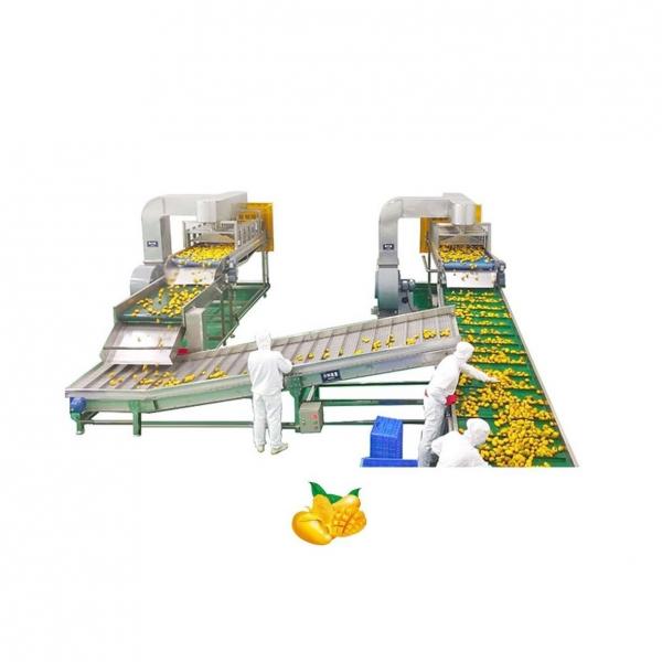 China Mango Processing Equipment Mango Juice Processing Plant , Mango Juice Extractor Machine factory