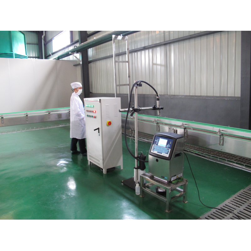 330ml spring Water Bottle Filling And Capping Machine Automatic