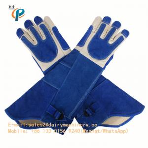 China Blue Color Leather Animal Control Gloves , Animal Handling Gloves For Dog / Cat on sale