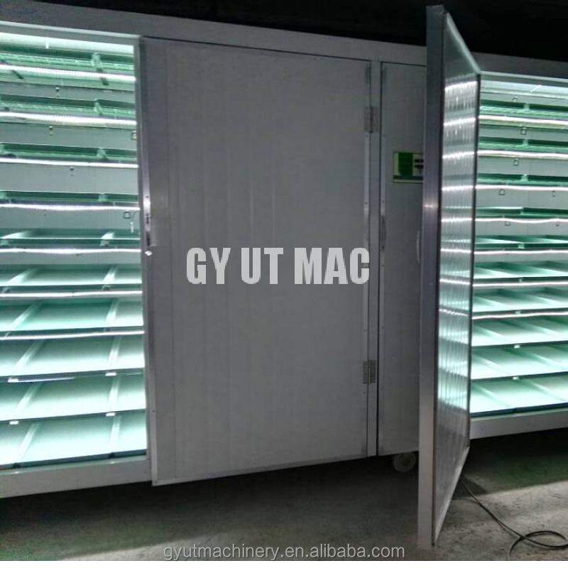 Automatic Bean Sprouts Maker for Radish Wheatgrass Broccoli Sprouts Microgreens Sprouting