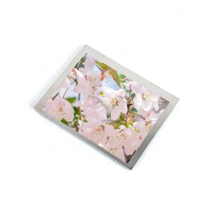 China Industry TM043NBHG04 4.3inch 480x272 Tft-lcd Screen Panel on sale