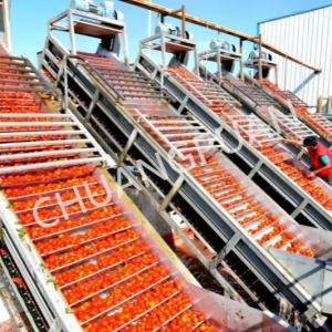China Tomato Paste Production Line Stainless Steel Tube In Tube Sterilization Type on sale