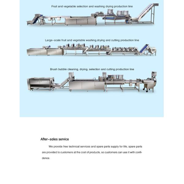 Onion peeling machine onion garlic Onions processing production line