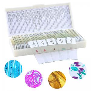 China 50Pcs Prepared Microscope Slides With Specimens For Kids Home school factory
