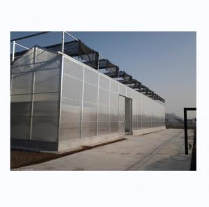 China PC Plastic Polycarbonate Sheet Multi Span Hydroponic Greenhouse factory