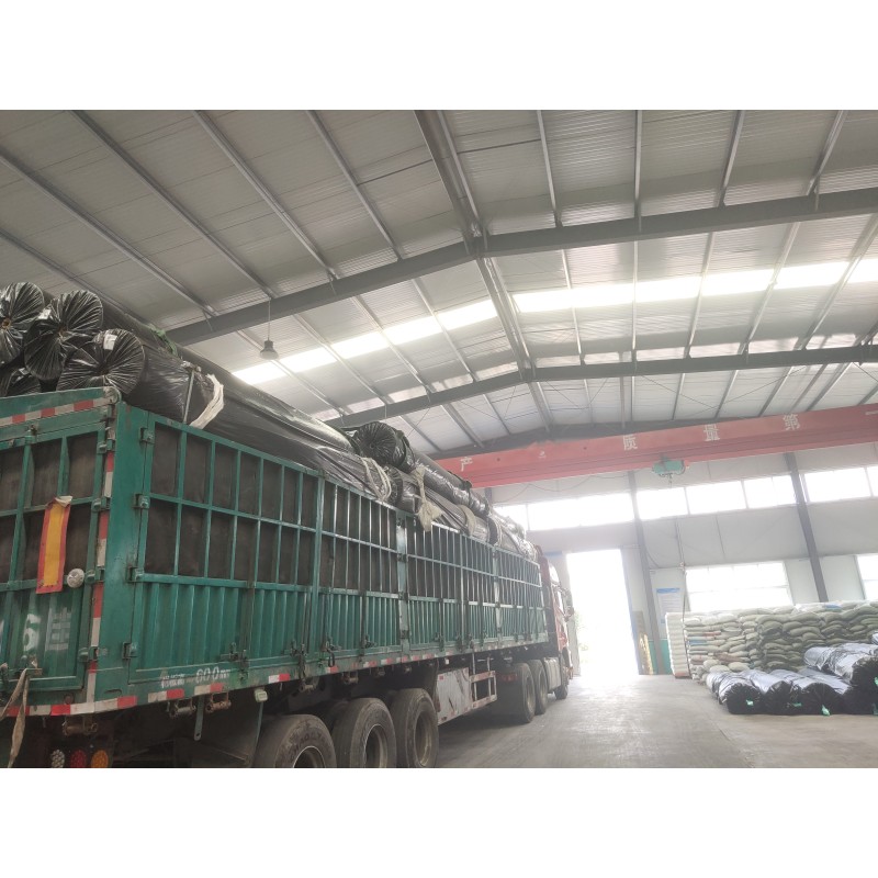 HDPE Geomembrane Dam Liner for Total Solution Projects Online Technical Support