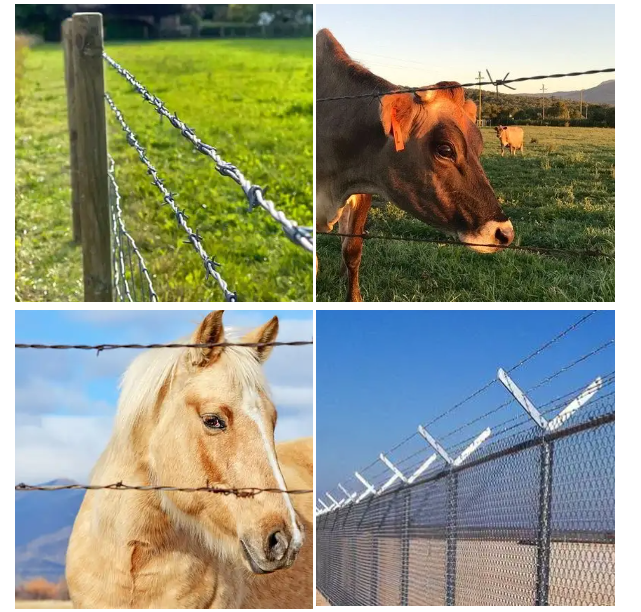 Double Twist Barbed Wire
