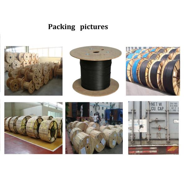 48 Duct Gel Filled Fiber Optic Cable , G652d FRP Outdoor Armored Fiber Optic Cable