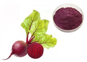 China Natural Pigment Anti Tumor Red Beetroot Vegetable Extract Powder factory