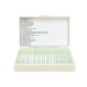 China Prepared glass biology teaching histology slides for student learning on microscope factory