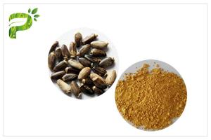 China Light Yellow Plant Extract Powder Natural Ingredient Milk Thistle Extraction factory