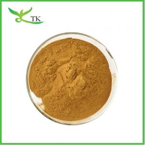 China Pure Ginkgo Biloba Plant Extract Powder Flavones 24% Lactones 6% Ginkgo Biloba Leaf Extract on sale
