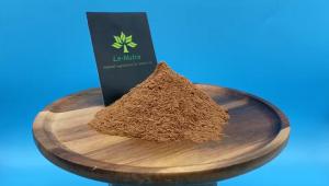 China Hot sale Natural ginkgo biloba leaf extract powder Flavones 24.0%, Lactones 6.0% on sale