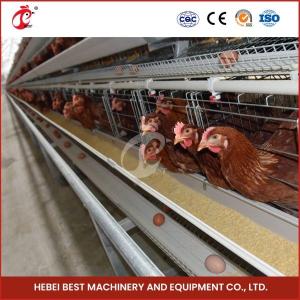 China 120 Birds Layer Poultry Farm Cage Hot Deep Galvanized And Cold Galvanized Iris factory