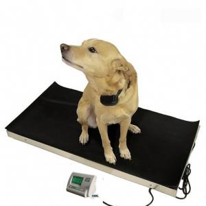 China LED 60kg Precision Animal Digital Weight Scale on sale