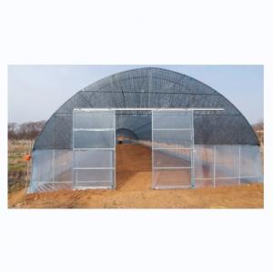 China High Tunnel Film Covered Tomato Greenhouse with Shade Net Single Layer 10-100m Length factory
