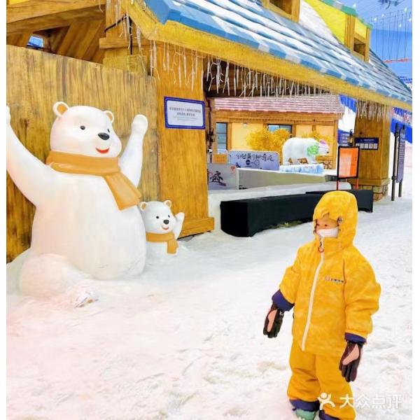 Discover the Beauty of Snowy Landscapes with Mega Snow Equipment Stainless Steel