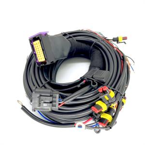 China CNG LPG Sequential Injection 24 Pin Car Wiring Harness For 4 Cylinder ECU on sale