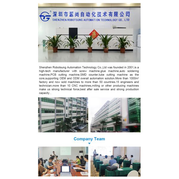 Electric Double-Platform Dispensing Machine CCD Vision Automatically Identifying Product Position New Condition Paper Packaging