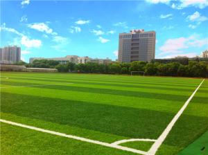 China Professional Playground Synthetic Grass , Playground Synthetic Turf FIFA Standard on sale