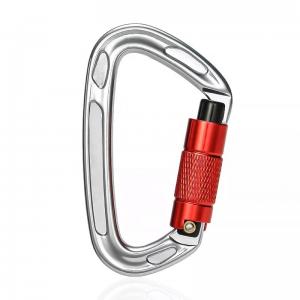 China Sale Polished Aluminum Alloy Dog Leash with Precision Casting Screwgate Carabiner factory