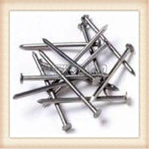 China Electro galvanized common wire nail/common iron wire nails/bright common nails factory factory