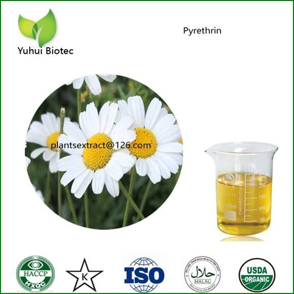 China pyrethrum extract,pyrethrin concentrate, pyrethroid insecticides factory