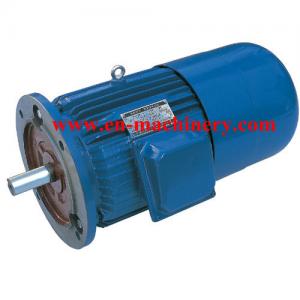 China Engine Motor three phase Super High Efficiency AC DC Electric Motor on sale