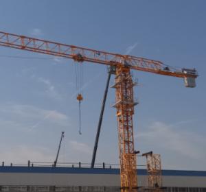 China 10 Ton Large Tower Crane Load hoisting factory