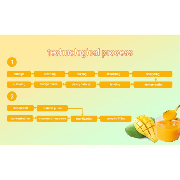 Fresh Mango Customized Complete Mango Juice Processing Automatic Machine