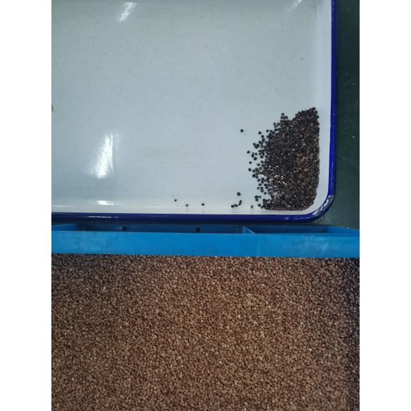 Self Checking Windows System Quinoa CCD Color Separator Machine