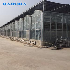 China Solar Polycarbonate Sheet Greenhouse / Agricultural PC Sheet Greenhouse factory