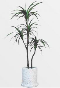 China Plastic Artificial Potted Floor Plants Indoor Evergreen Dragon Blood Trees on sale