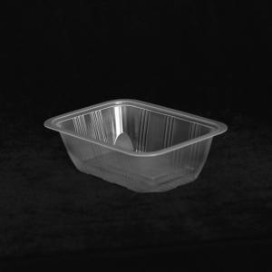 China 170 X 115 X 35MM PP Disposable Plastic Tray Clear Rectangular Plastic Storage Containers factory