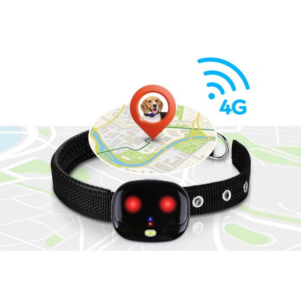 Smart Mini Pet GPS Tracker Micro Positioning For Walking Dogs